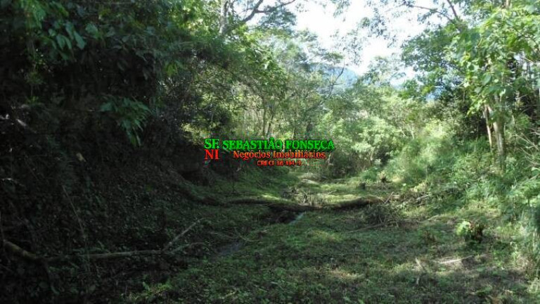 Imagem Chácara à Venda, 72.600 m² em São Francisco Xavier - São José Dos Campos