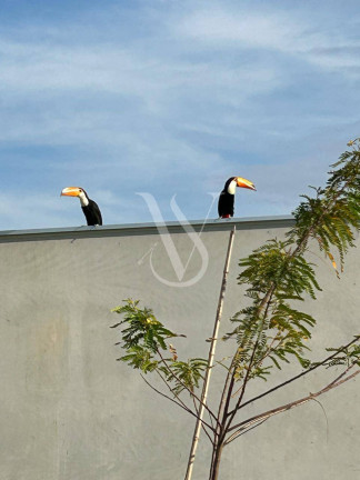 Imagem Terreno à Venda, 523 m² em Corrupira - Jundiaí Imagem Terreno à Venda, 523 m² em Corrupira - Jundiaí