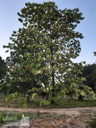 Imagem Terreno à Venda, 43.000 m² em Centro - Jacundá Imagem Terreno à Venda, 43.000 m² em Centro - Jacundá