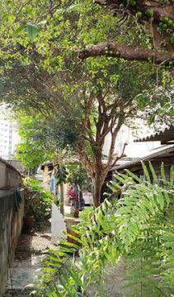 Imagem Terreno à Venda, 350 m² em Vila Santa Catarina - São Paulo