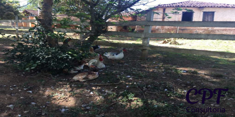 Imagem Imóvel com 3 Quartos à Venda, 5 m² em Centro - Ouro Fino