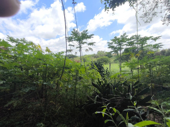 Imagem Chácara com 1 Quarto à Venda, 6 m² em Jundiaquara - Araçoiaba Da Serra Imagem Chácara com 1 Quarto à Venda, 6 m² em Jundiaquara - Araçoiaba Da Serra