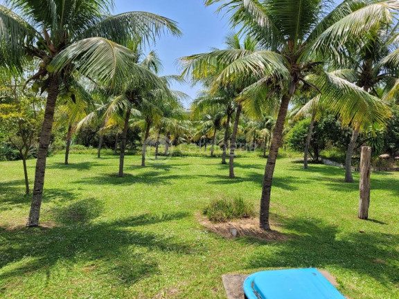 Imagem Fazenda à Venda, 31.675 m² em Pium - Nísia Floresta Imagem Fazenda à Venda, 31.675 m² em Pium - Nísia Floresta