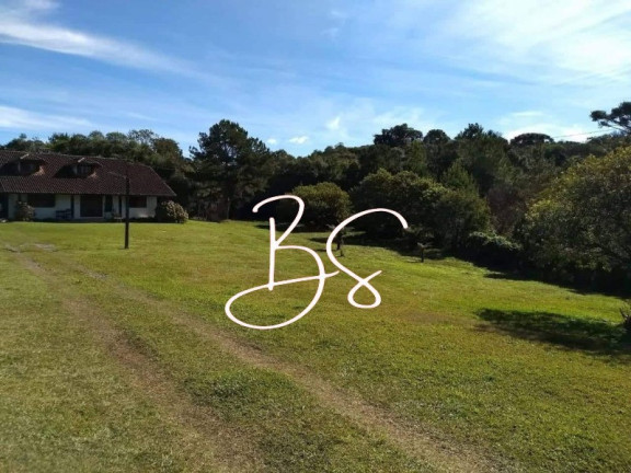 Imagem Imóvel com 4 Quartos à Venda, em Tapera - Gramado Imagem Imóvel com 4 Quartos à Venda, em Tapera - Gramado