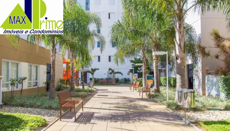 Imagem Apartamento com 2 Quartos à Venda, 46 m² em Quinta Da Paineira - São Paulo Imagem Apartamento com 2 Quartos à Venda, 46 m² em Quinta Da Paineira - São Paulo