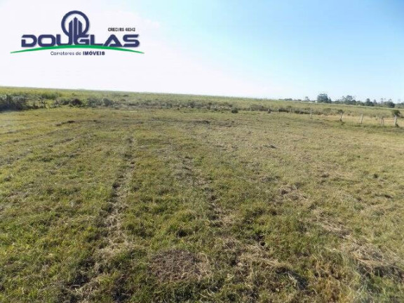 Imagem Chácara à Venda, 8 m² em águas Claras - Viamão Imagem Chácara à Venda, 8 m² em águas Claras - Viamão