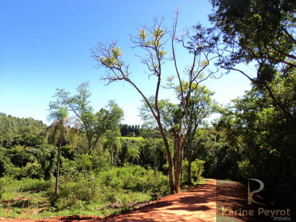 Imagem Terreno à Venda, 3.000 m² em Fazenda São Borja - São Leopoldo Imagem Terreno à Venda, 3.000 m² em Fazenda São Borja - São Leopoldo