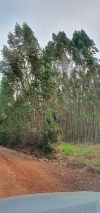 Imagem Chácara à Venda, 20.000 m² em Ponte Alta - Avaré Imagem Chácara à Venda, 20.000 m² em Ponte Alta - Avaré