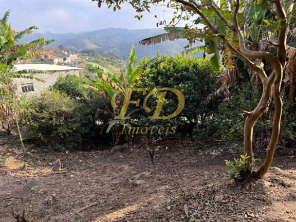 Imagem Casa com 3 Quartos à Venda, 1.000 m² em Mairiporã Imagem Casa com 3 Quartos à Venda, 1.000 m² em Mairiporã
