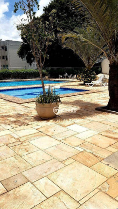 Imagem Apartamento com 2 Quartos à Venda, 60 m² em Jardim Miranda - Campinas Imagem Apartamento com 2 Quartos à Venda, 60 m² em Jardim Miranda - Campinas
