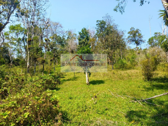Imagem Terreno à Venda, 24.000 m² em Palmeiras - Juquitiba Imagem Terreno à Venda, 24.000 m² em Palmeiras - Juquitiba