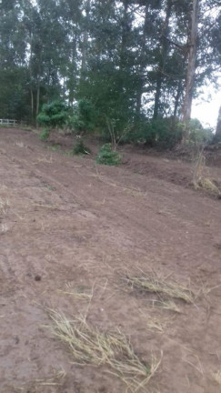 Imagem Imóvel com 1 Quarto à Venda, 8.177 m² em Tijuco Preto - Quadra