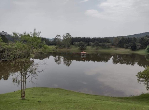Imagem Imóvel com 12 Quartos à Venda, 24.200.000 m² em Jardim Europa - Itapeva Imagem Imóvel com 12 Quartos à Venda, 24.200.000 m² em Jardim Europa - Itapeva
