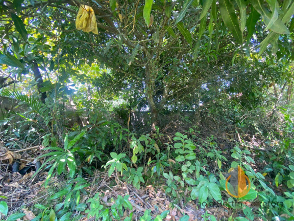 Imagem Terreno à Venda, 460 m² em Jardim Atlântico Central (itaipuaçu) - Maricá Imagem Terreno à Venda, 460 m² em Jardim Atlântico Central (itaipuaçu) - Maricá