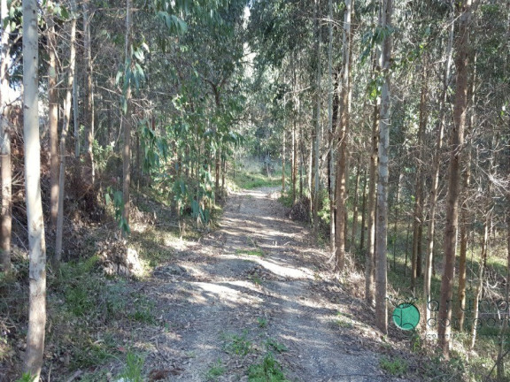 Imagem Imóvel com 2 Quartos à Venda, 50.000 m² em Zona Rural - Alfredo Wagner