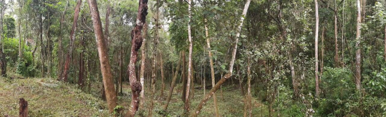 Imagem Terreno à Venda, 2 m² em Maracanã - Jarinu Imagem Terreno à Venda, 2 m² em Maracanã - Jarinu