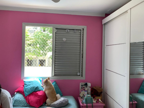 Imagem Imóvel com 4 Quartos à Venda, 210 m² em Cambuci - São Paulo