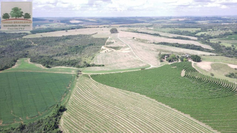 Fazenda à Venda, 2.000 m² em Zona Rural - Perdizes