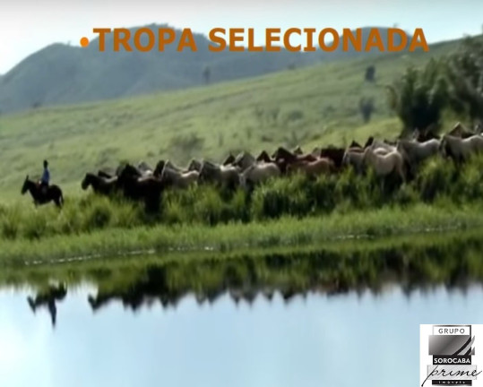 Imagem Imóvel à Venda, 427.000 m² em Marabá - Marabá Imagem Imóvel à Venda, 427.000 m² em Marabá - Marabá