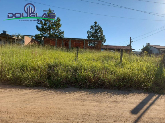 Imagem Casa à Venda, 600 m² em Viamão
