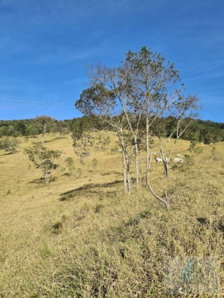 Imagem Chácara com 2 Quartos à Venda, 14.000 m² em Centro - Igaratá