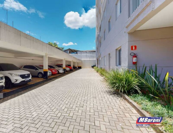 Imagem Apartamento com 3 Quartos à Venda, 58 m² em água Funda - São Paulo Imagem Apartamento com 3 Quartos à Venda, 58 m² em água Funda - São Paulo