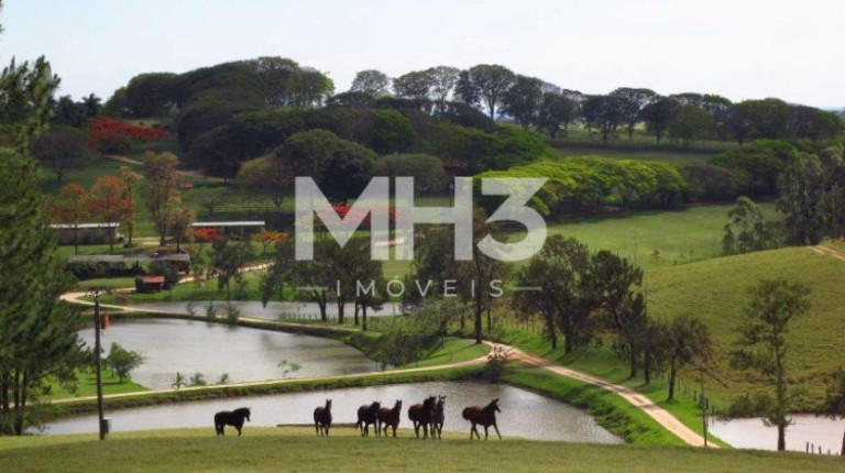 Imagem Imóvel com 20 Quartos à Venda, 1.150 m² em área Rural De Santo Antônio De Posse - Santo Antônio De Posse Imagem Imóvel com 20 Quartos à Venda, 1.150 m² em área Rural De Santo Antônio De Posse - Santo Antônio De Posse