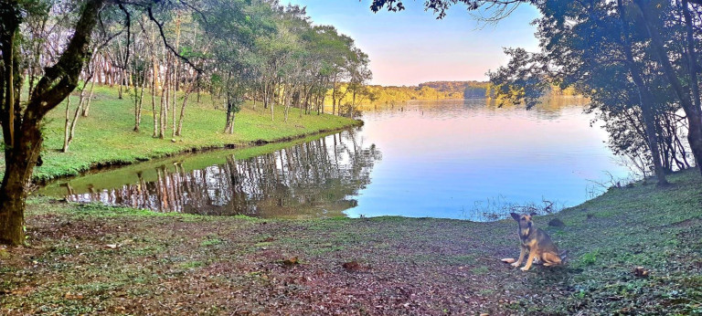 Imagem Imóvel à Venda, 20.000 m² em Botiatuva - Campo Largo Imagem Imóvel à Venda, 20.000 m² em Botiatuva - Campo Largo