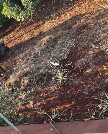 Imagem Terreno à Venda, 545 m² em Zona 08 - Maringá Imagem Terreno à Venda, 545 m² em Zona 08 - Maringá