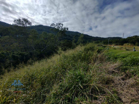 Imagem Terreno à Venda, 533 m² em Itacorubi - Florianópolis