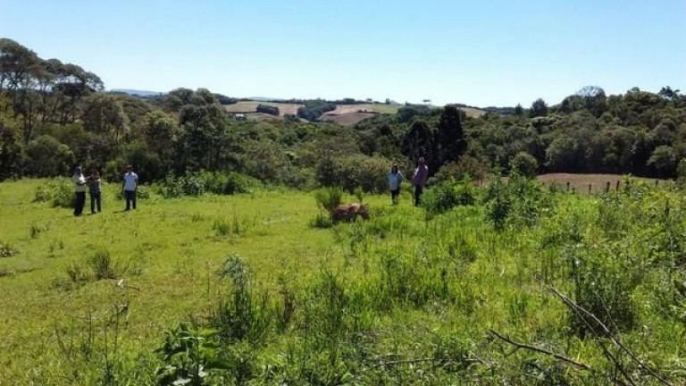 Imagem Imóvel com 4 Quartos à Venda, 300 m² em Dom Pedro - Campo Magro