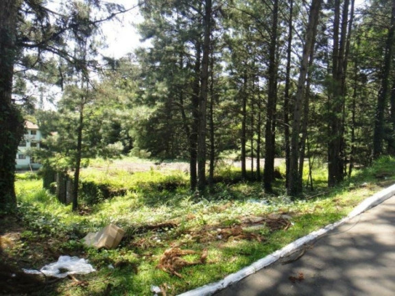 Imagem Terreno à Venda, 4.117 m² em Planalto - Gramado