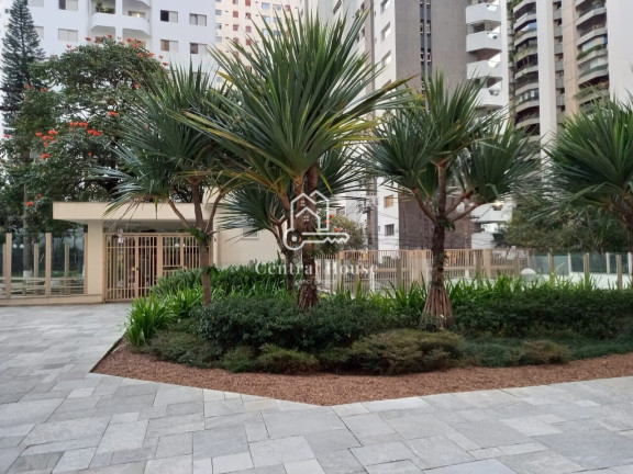 Imagem Apartamento com 1 Quarto para Alugar, 50 m² em Moema - São Paulo Imagem Apartamento com 1 Quarto para Alugar, 50 m² em Moema - São Paulo