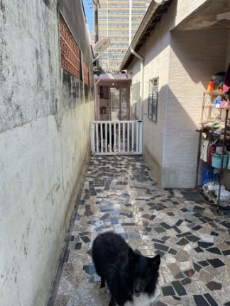 Imagem Casa com 2 Quartos à Venda, 80 m² em Vila Guilhermina - Praia Grande Imagem Casa com 2 Quartos à Venda, 80 m² em Vila Guilhermina - Praia Grande
