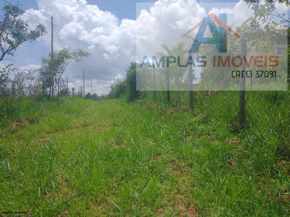 Imagem Chácara à Venda, 2.000 m² em Araças 1º Seção - Mateus Leme