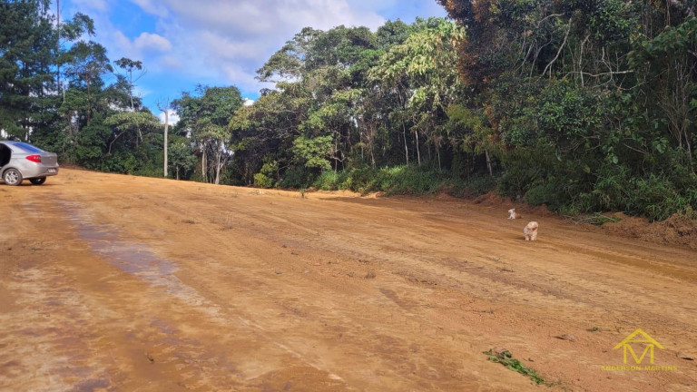 Imagem Fazenda à Venda, 1 m² em Pedra Azul - Venda Nova Do Imigrante Imagem Fazenda à Venda, 1 m² em Pedra Azul - Venda Nova Do Imigrante