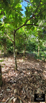 Imagem Fazenda à Venda, 8 m² em Zona Rural - Ubaitaba Imagem Fazenda à Venda, 8 m² em Zona Rural - Ubaitaba