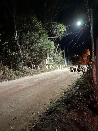 Imagem Imóvel com 3 Quartos à Venda, 20.030 m² em Centro - Cambuí