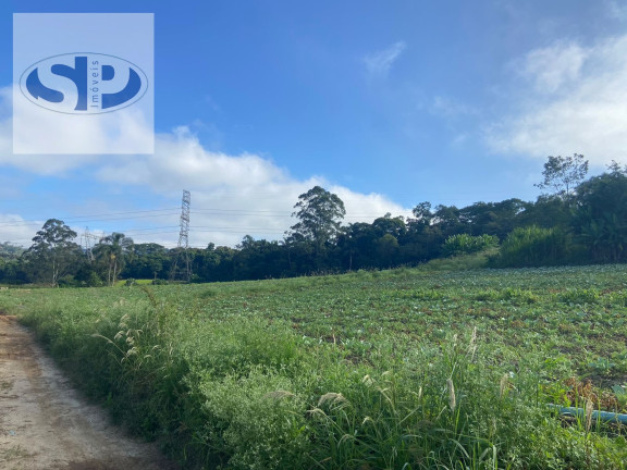 Terreno à Venda, 300 m² em Parque Santa Rosa - Suzano