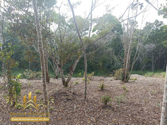 Imagem Chácara à Venda, em Br 367 - Porto Seguro Imagem Chácara à Venda, em Br 367 - Porto Seguro