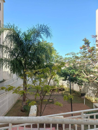 Imagem Apartamento com 2 Quartos à Venda, 38 m² em Cidade Popular - São Paulo Imagem Apartamento com 2 Quartos à Venda, 38 m² em Cidade Popular - São Paulo