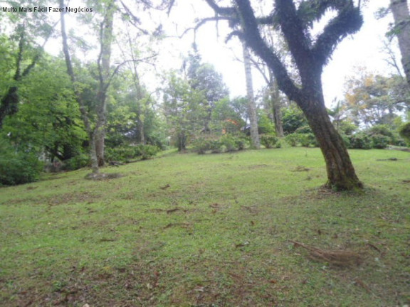Imagem Terreno à Venda, 3 m² em Vale Verde - Nova Petrópolis Imagem Terreno à Venda, 3 m² em Vale Verde - Nova Petrópolis