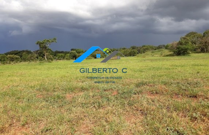 Imagem Imóvel à Venda, 7.685 m² em área Rural De Jacuba - Arealva Imagem Imóvel à Venda, 7.685 m² em área Rural De Jacuba - Arealva