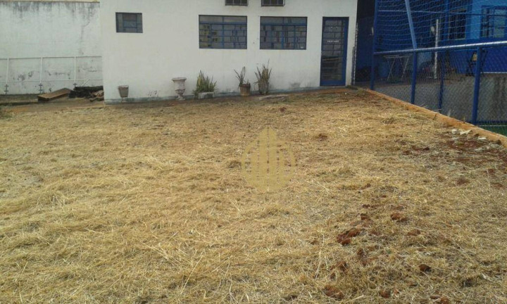 Imagem Imóvel para Alugar, 500 m² em Jardim Palma Travassos - Ribeirão Preto Imagem Imóvel para Alugar, 500 m² em Jardim Palma Travassos - Ribeirão Preto