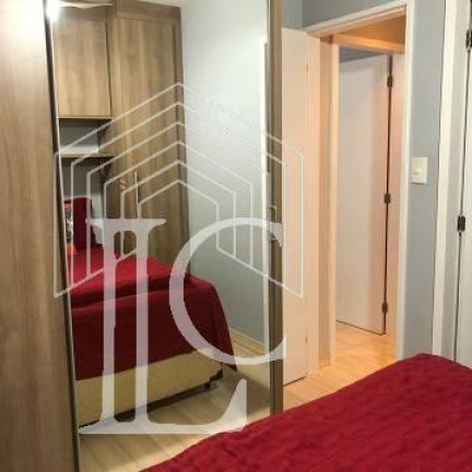 Imagem Apartamento com 3 Quartos à Venda, 63 m² em Cidade Ademar - São Paulo