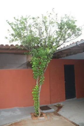 Imagem Terreno à Venda, 1.020 m² em R$657.000,00 // Trevo - Belo Horizonte Imagem Terreno à Venda, 1.020 m² em R$657.000,00 // Trevo - Belo Horizonte