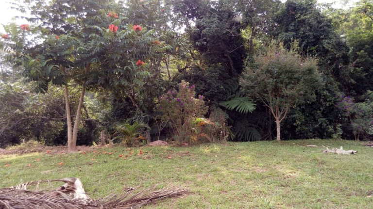 Imagem Fazenda à Venda, 80 m² em Taboão - Mogi Das Cruzes