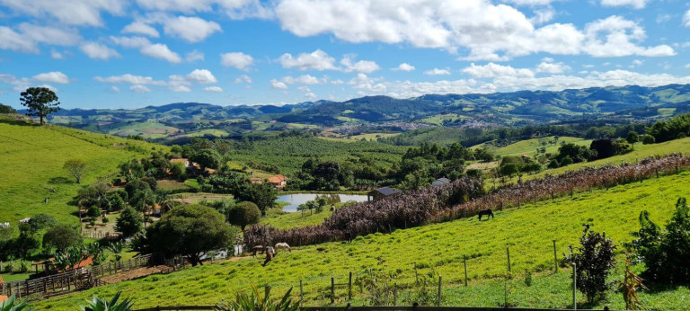 Imagem Chácara com 3 Quartos à Venda, 24.000 m² em Pedra Bela