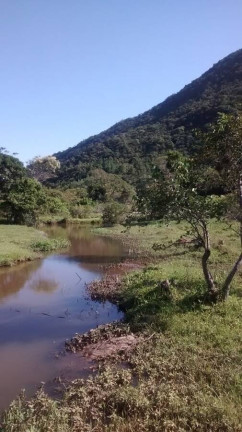 Imagem Chácara à Venda, 4.800 m² em São João Do Rio Vermelho - Florianópolis Imagem Chácara à Venda, 4.800 m² em São João Do Rio Vermelho - Florianópolis