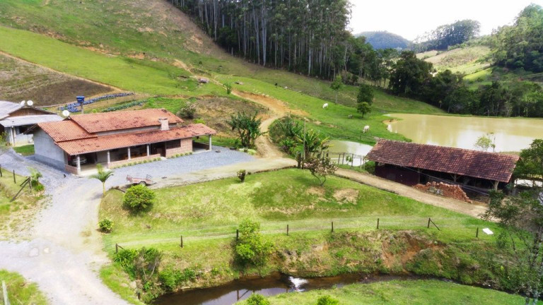 Imagem Imóvel com 5 Quartos à Venda, 140.000 m² em Zona Rural - Presidente Nereu